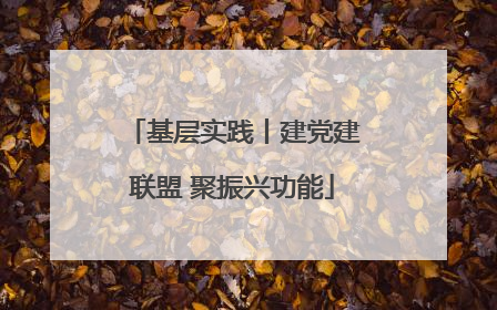 基层实践丨建党建联盟 聚振兴功能