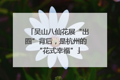 吴山八仙花展“出圈”背后，是杭州的“花式幸福”