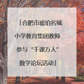 合肥市琥珀名城小学教育集团教师参与“千课万人”数学论坛活动