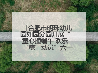 合肥市明珠幼儿园如园分园开展“童心撞端午 欢乐‘粽’动员”六一系列活动