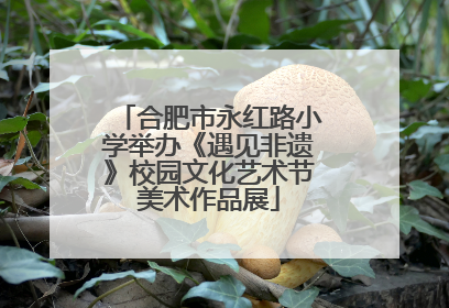 合肥市永红路小学举办《遇见非遗》校园文化艺术节美术作品展