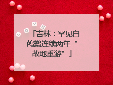 吉林：罕见白鸬鹚连续两年“故地重游”