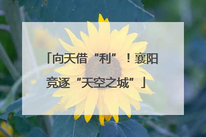 向天借“利”！襄阳竞逐“天空之城”