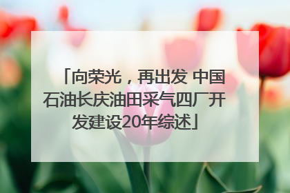 向荣光，再出发 中国石油长庆油田采气四厂开发建设20年综述