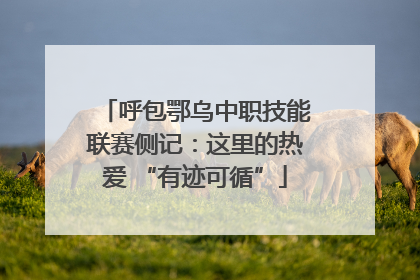 呼包鄂乌中职技能联赛侧记：这里的热爱 “有迹可循”