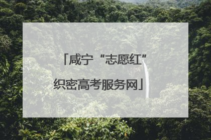 咸宁“志愿红”织密高考服务网