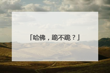 哈佛，跪不跪？