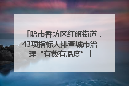 哈市香坊区红旗街道：43项指标大排查城市治理“有数有温度”