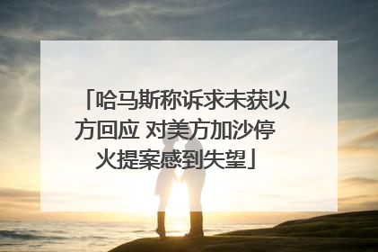 哈马斯称诉求未获以方回应 对美方加沙停火提案感到失望