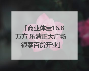 商业体量16.8万方 乐清正大广场银泰百货开业