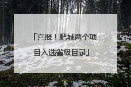 喜报！肥城两个项目入选省级目录