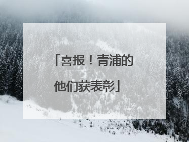 喜报！青浦的他们获表彰