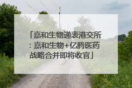 嘉和生物递表港交所：嘉和生物+亿腾医药战略合并即将收官