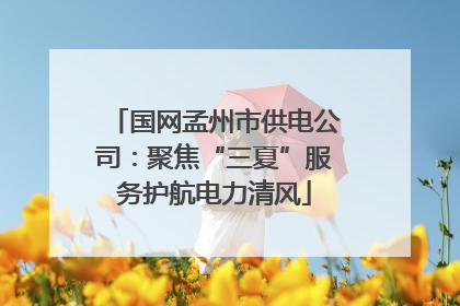 国网孟州市供电公司：聚焦“三夏”服务护航电力清风