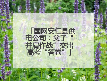 国网安仁县供电公司：父子“并肩作战”交出高考“答卷”