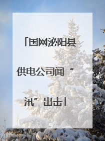 国网泌阳县供电公司闻“汛”出击