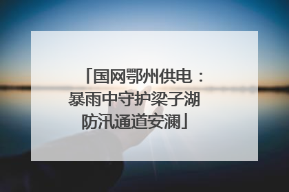 国网鄂州供电：暴雨中守护梁子湖防汛通道安澜