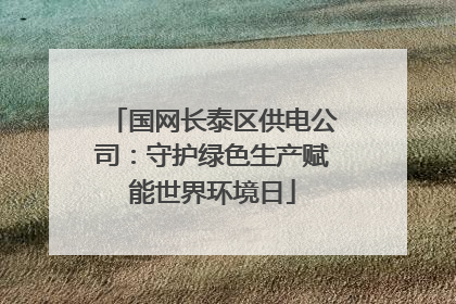 国网长泰区供电公司：守护绿色生产赋能世界环境日