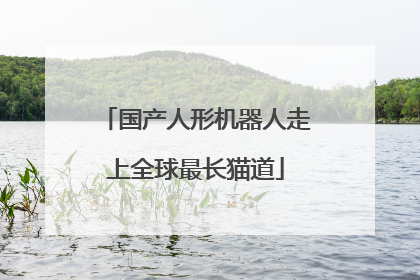 国产人形机器人走上全球最长猫道