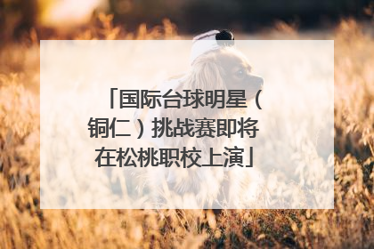 国际台球明星（铜仁）挑战赛即将在松桃职校上演
