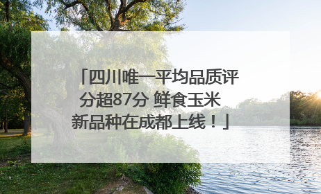 四川唯一平均品质评分超87分 鲜食玉米新品种在成都上线！