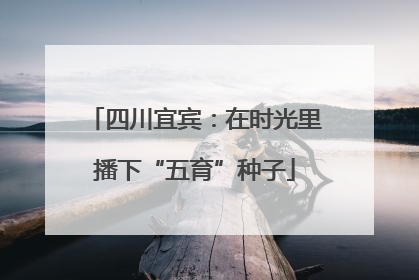 四川宜宾：在时光里播下“五育”种子