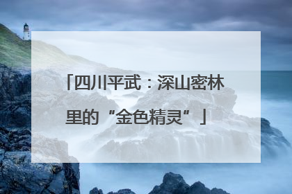 四川平武：深山密林里的“金色精灵”