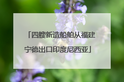 四艘新造船舶从福建宁德出口印度尼西亚