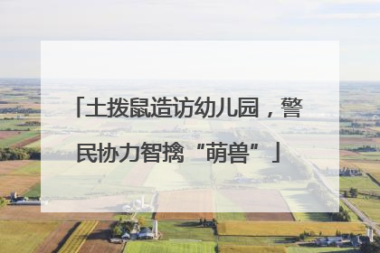 土拨鼠造访幼儿园，警民协力智擒“萌兽”