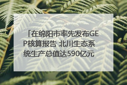 在绵阳市率先发布GEP核算报告 北川生态系统生产总值达590亿元｜新闻发布最前线