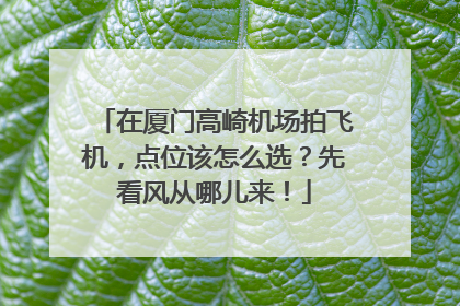 在厦门高崎机场拍飞机，点位该怎么选？先看风从哪儿来！