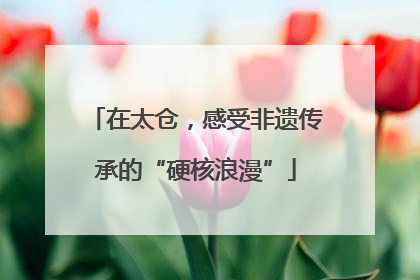 在太仓，感受非遗传承的“硬核浪漫”