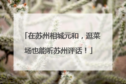 在苏州相城元和，逛菜场也能听苏州评话！