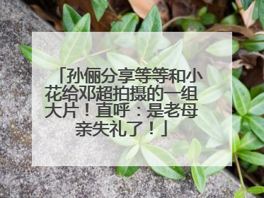 孙俪分享等等和小花给邓超拍摄的一组大片！直呼：是老母亲失礼了！