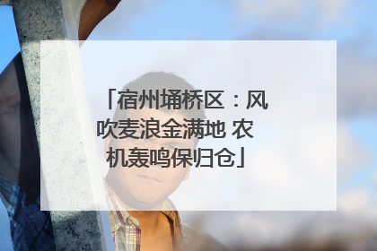 宿州埇桥区：风吹麦浪金满地 农机轰鸣保归仓