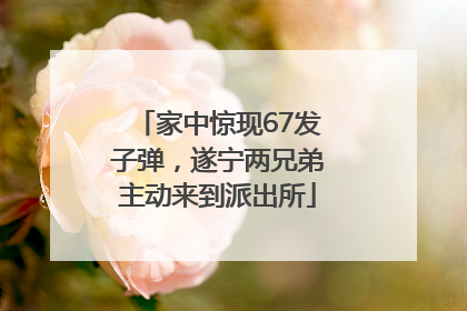 家中惊现67发子弹，遂宁两兄弟主动来到派出所