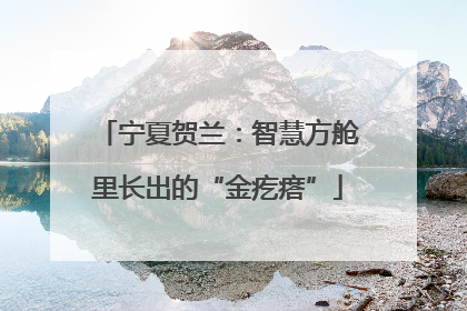 宁夏贺兰：智慧方舱里长出的“金疙瘩”