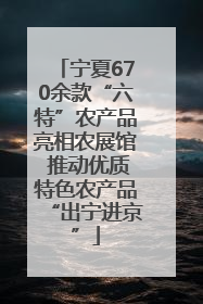 宁夏670余款“六特”农产品亮相农展馆 推动优质特色农产品“出宁进京”