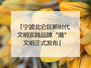 宁波北仑区新时代文明实践品牌“港”文明正式发布