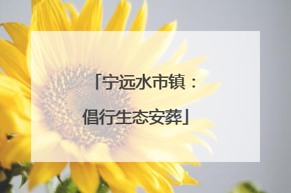 宁远水市镇：倡行生态安葬