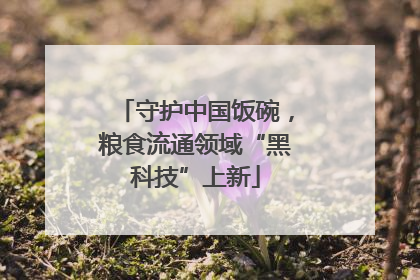 守护中国饭碗，粮食流通领域“黑科技”上新