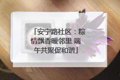 安宁路社区：粽情飘香暖邻里 端午共聚促和谐