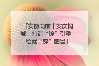 安徽向前丨安庆桐城：打造“锌”引擎 绘就“锌”图景