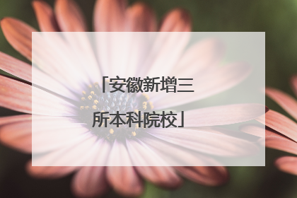 安徽新增三所本科院校