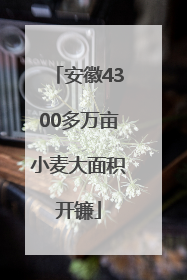 安徽4300多万亩小麦大面积开镰