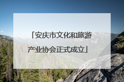 安庆市文化和旅游产业协会正式成立