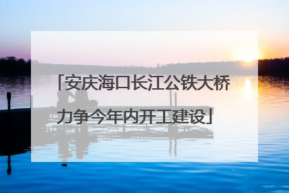 安庆海口长江公铁大桥力争今年内开工建设