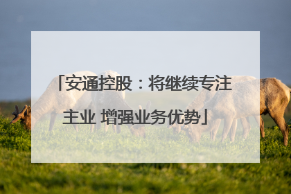 安通控股：将继续专注主业 增强业务优势