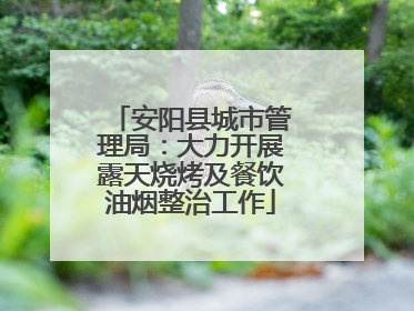 安阳县城市管理局：大力开展露天烧烤及餐饮油烟整治工作