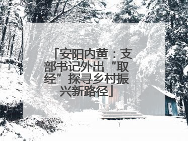 安阳内黄：支部书记外出“取经”探寻乡村振兴新路径